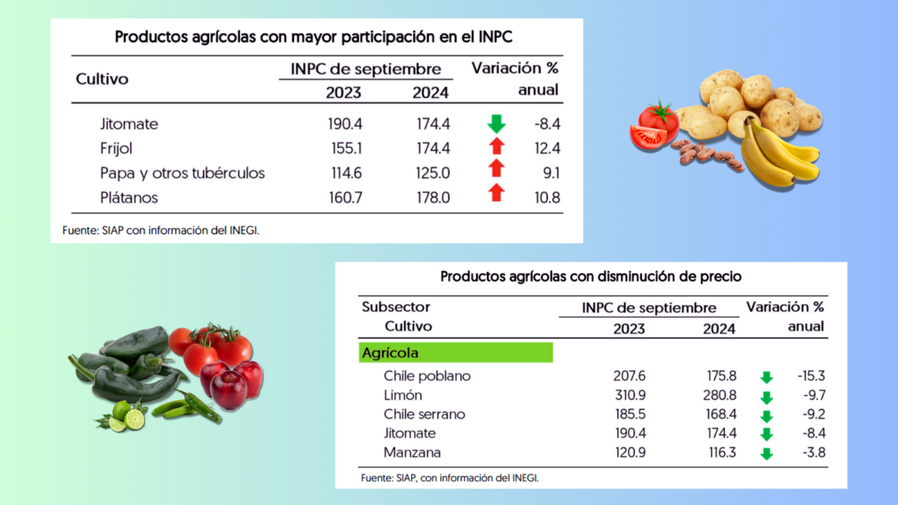 INPC de septiembre 2024 Precios de alimentos y energéticos en México